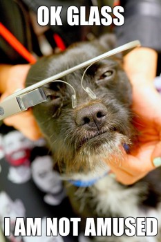 Google Glass Dog Chance DSC00173