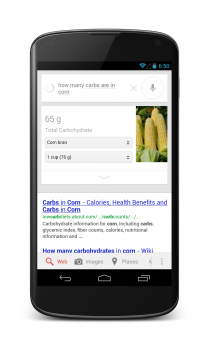 Google Search Nutrition Information 1