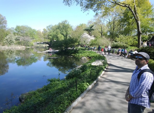 glass-central-park-2