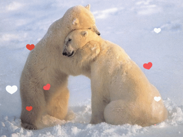 bearhug-HEARTS