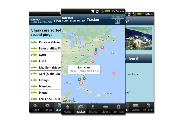 shark-tracker