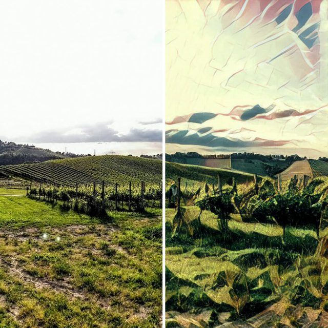 prisma_vinyard