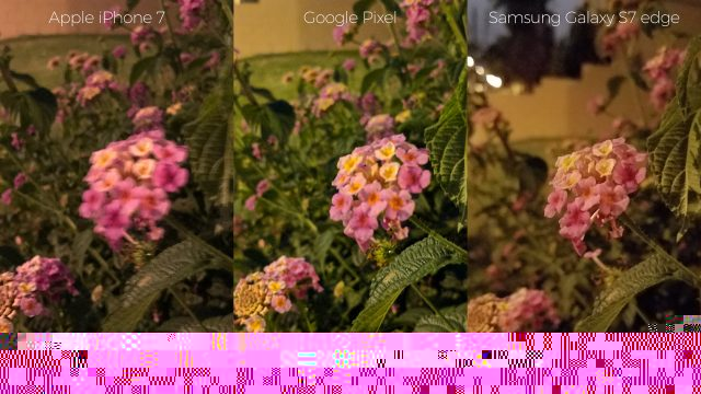 pixel-camera-versus-iphone7-galaxys7edge-night-flowers