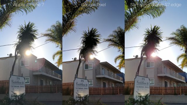 pixel-camera-versus-iphone7-galaxys7edge-palm